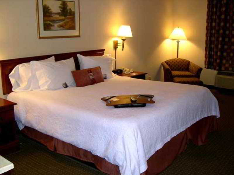 Hampton Inn Selma Oda fotoğraf